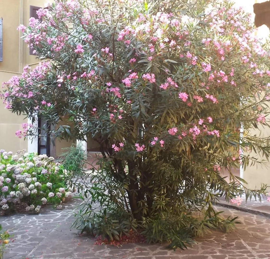 Casa Sol Apartment San Felice del Benaco